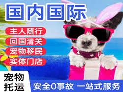 鞍山航空托运国际宠物托运 【国